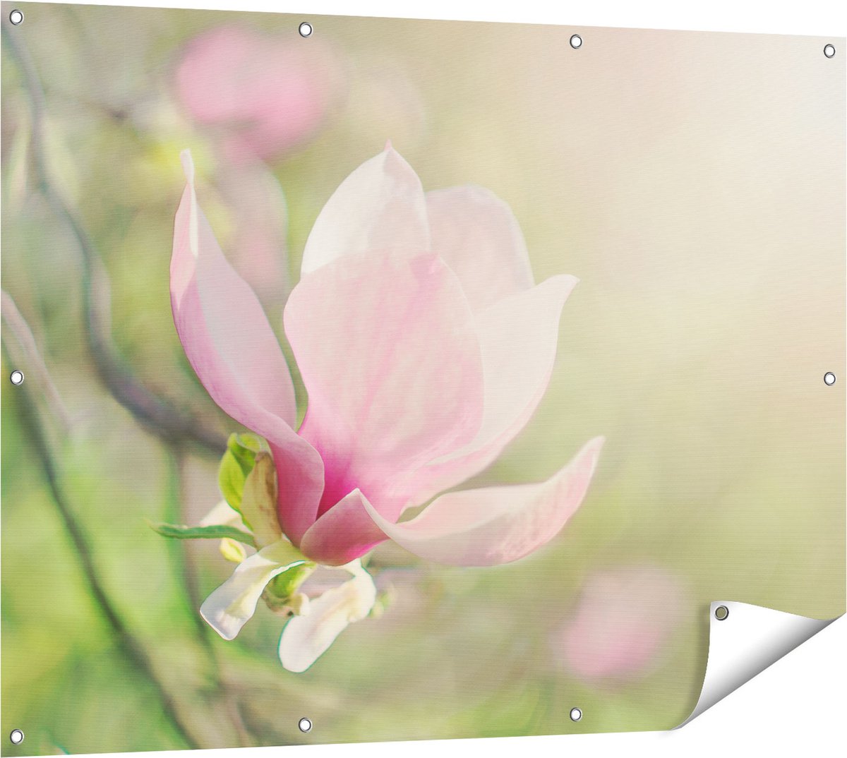 Gards Tuinposter Roze Magnolia Bloem - 120x90 cm - Tuindoek - Tuindecoratie - Wanddecoratie buiten - Tuinschilderij Multikleur