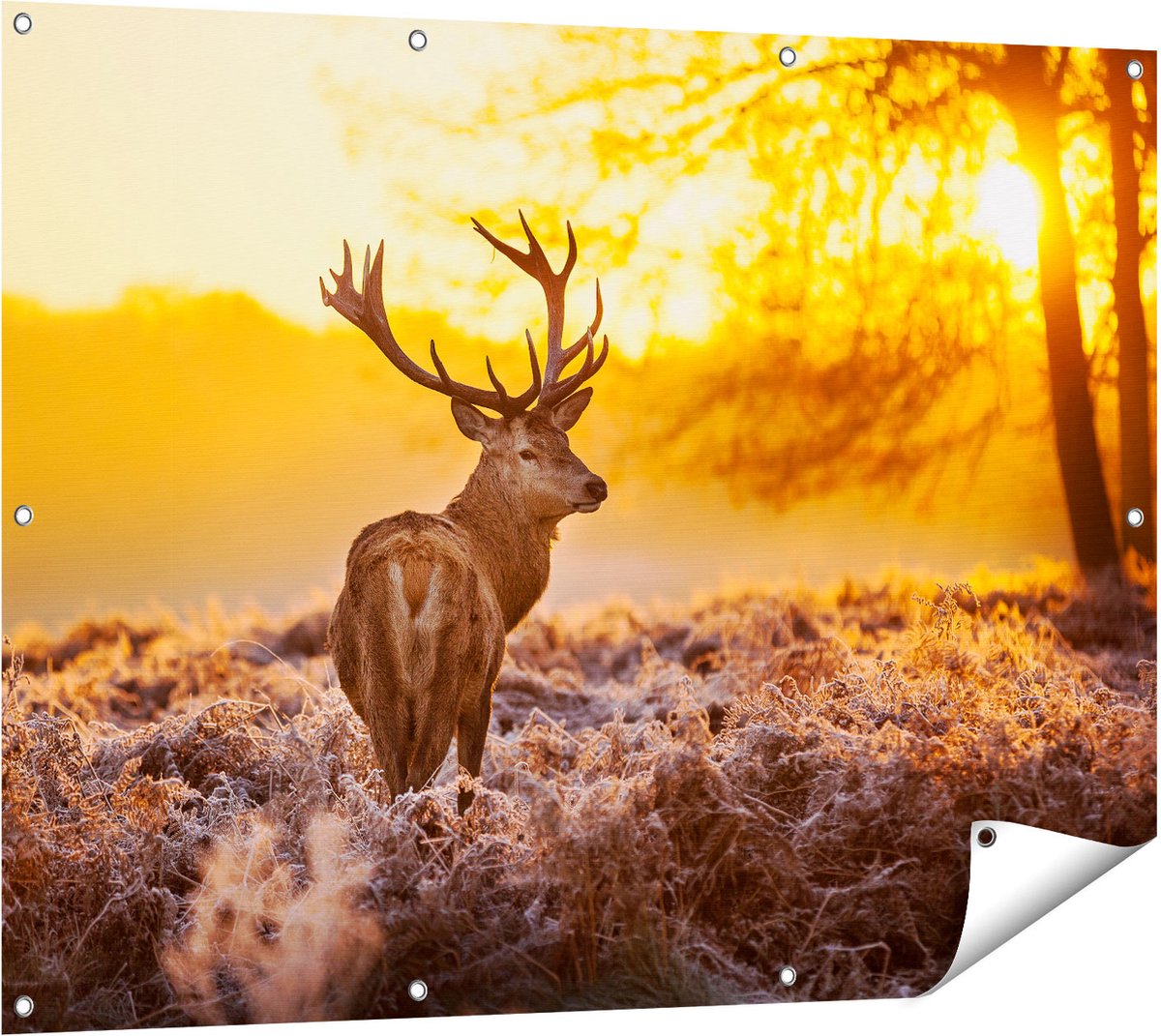 Gards Tuinposter Hert in Bos tijdens de Zonsopkomst - 120x90 cm - Tuindoek - Tuindecoratie - Wanddecoratie buiten - Tuinschilderij Multikleur