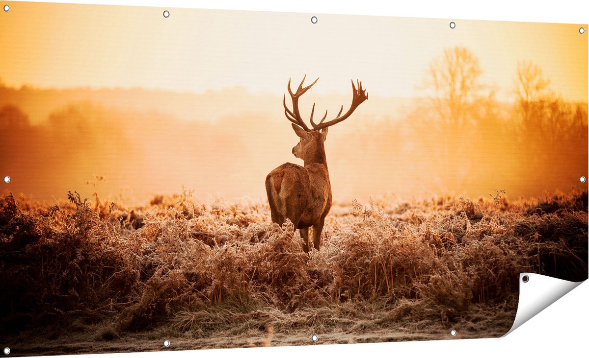 Gards Tuinposter Hert in de Wei tijdens de Zonsopkomst - 180x90 cm - Tuindoek - Tuindecoratie - Wanddecoratie buiten - Tuinschilderij Multikleur