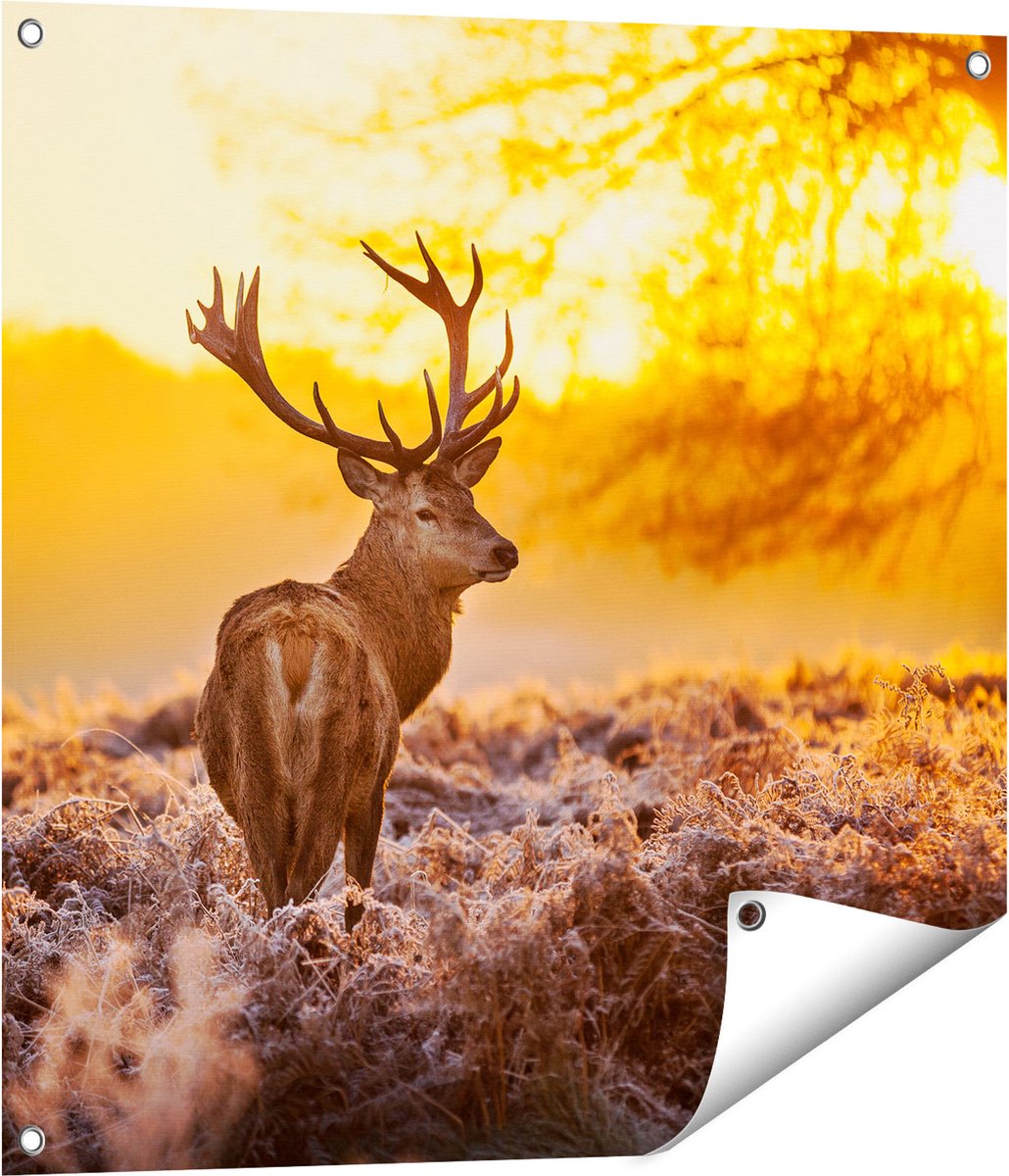 Gards Tuinposter Hert in Bos tijdens de Zonsopkomst - 70x70 cm - Tuindoek - Tuindecoratie - Wanddecoratie buiten - Tuinschilderij Multikleur