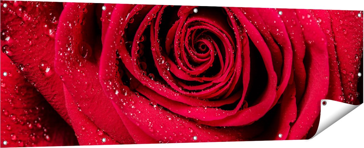Gards Tuinposter Rode Roos met Waterdruppels - Bloem - 180x60 cm - Tuindoek - Tuindecoratie - Wanddecoratie buiten - Tuinschilderij Multikleur