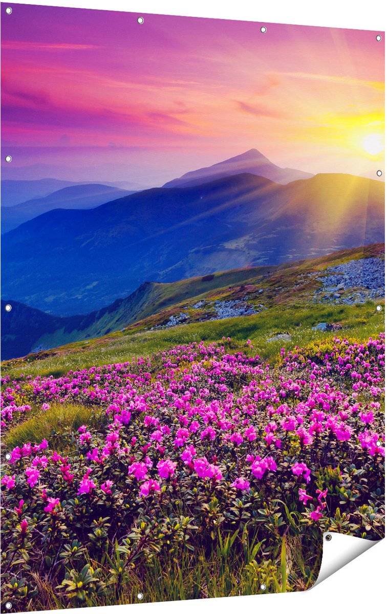 Gards Tuinposter Roze Rhododendron Bloemenveld - Bergen - 120x160 cm - Tuindoek - Tuindecoratie - Wanddecoratie buiten - Tuinschilderij Multikleur