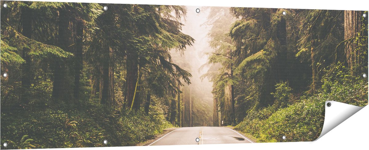 Gards Tuinposter Highway in Californië Omring met Bos - 180x60 cm - Tuindoek - Tuindecoratie - Wanddecoratie buiten - Tuinschilderij Multikleur