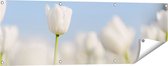 Gards Tuinposter Witte Tulpen - Bloemen - 120x40 cm - Tuindoek - Tuindecoratie - Wanddecoratie buiten - Tuinschilderij