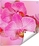 Gards Tuinposter Roze Orchidee Bloemen - 50x50 cm - Tuindoek - Tuindecoratie - Wanddecoratie buiten - Tuinschilderij