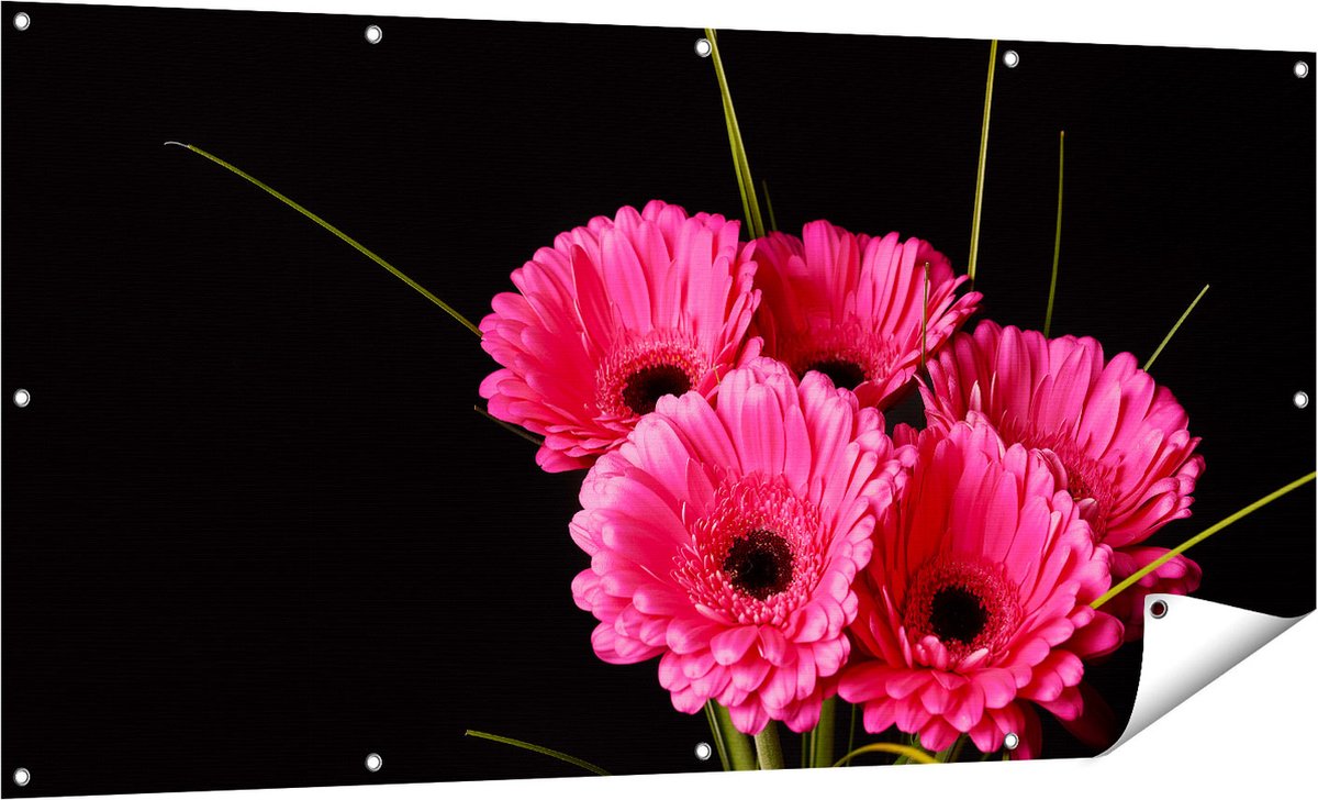Gards Tuinposter Roze Gerbera Bloemen - 160x80 cm - Tuindoek - Tuindecoratie - Wanddecoratie buiten - Tuinschilderij Multikleur