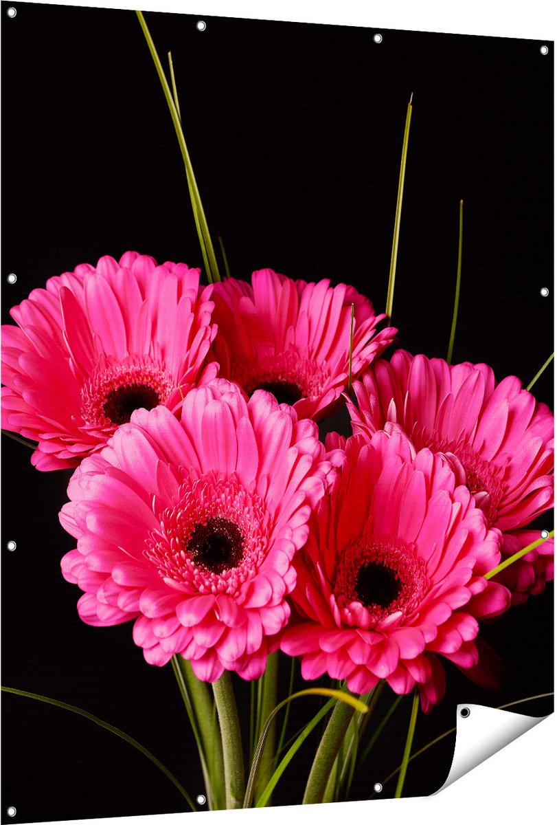 Gards Tuinposter Roze Gerbera Bloemen - 120x150 cm - Tuindoek - Tuindecoratie - Wanddecoratie buiten - Tuinschilderij Multikleur