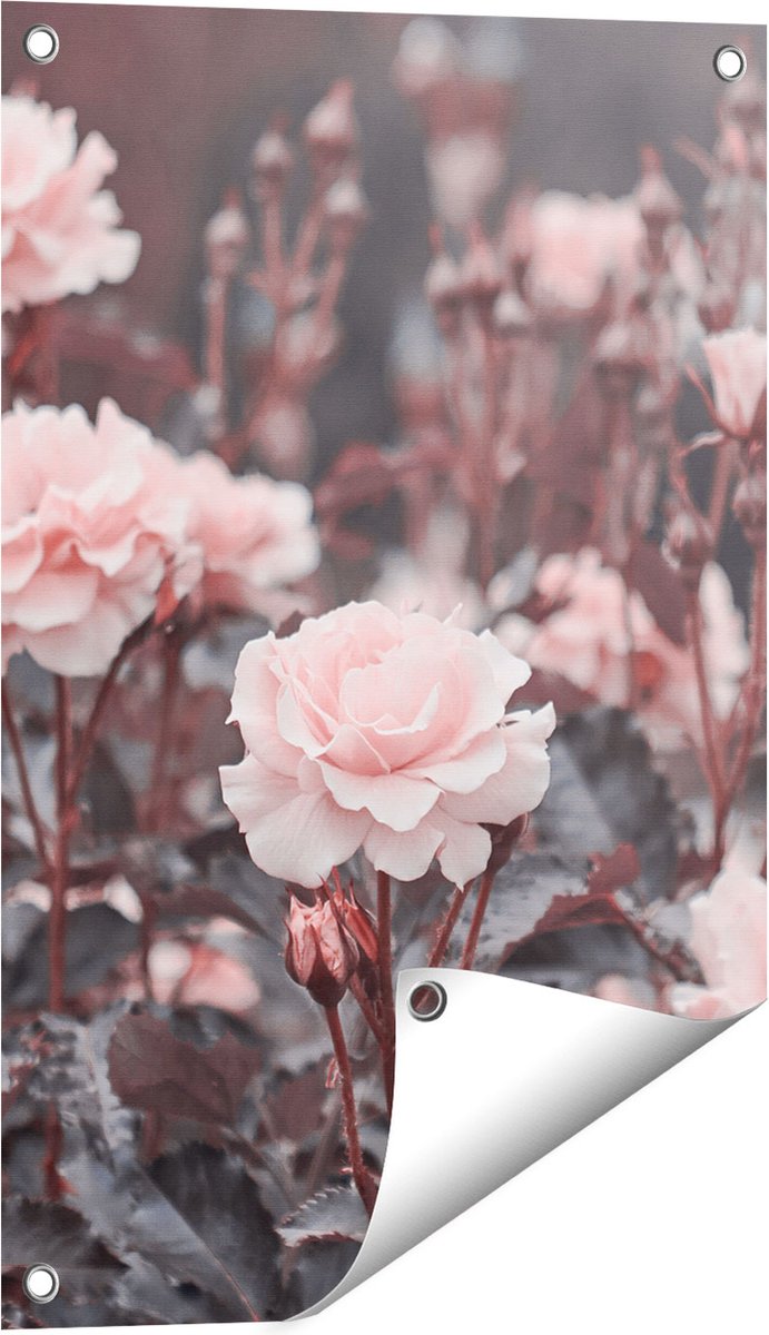 Gards Tuinposter Roze Rozen Bloemen - 40x60 cm - Tuindoek - Tuindecoratie - Wanddecoratie buiten - Tuinschilderij Multikleur