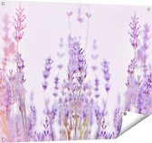 Gards Tuinposter Paarse Lavendel Bloemen - 100x80 cm - Tuindoek - Tuindecoratie - Wanddecoratie buiten - Tuinschilderij