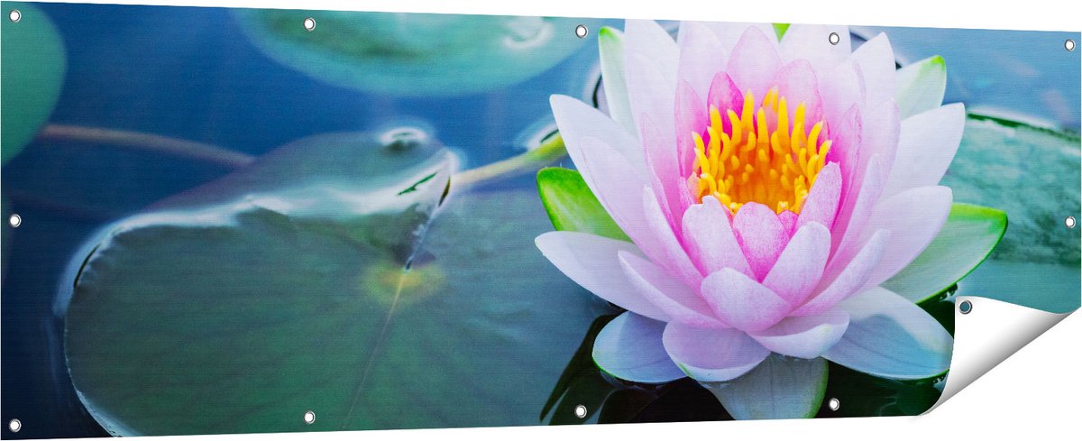 Gards Tuinposter Roze Lotusbloem met Waterlelies - 180x60 cm - Tuindoek - Tuindecoratie - Wanddecoratie buiten - Tuinschilderij Multikleur