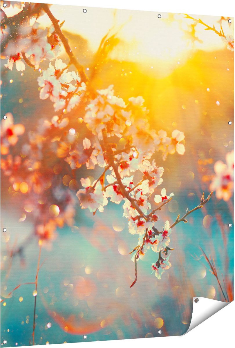 Gards Tuinposter Bloesemboom tijdens Zonsondergang - Bloem - 120x150 cm - Tuindoek - Tuindecoratie - Wanddecoratie buiten - Tuinschilderij Multikleur