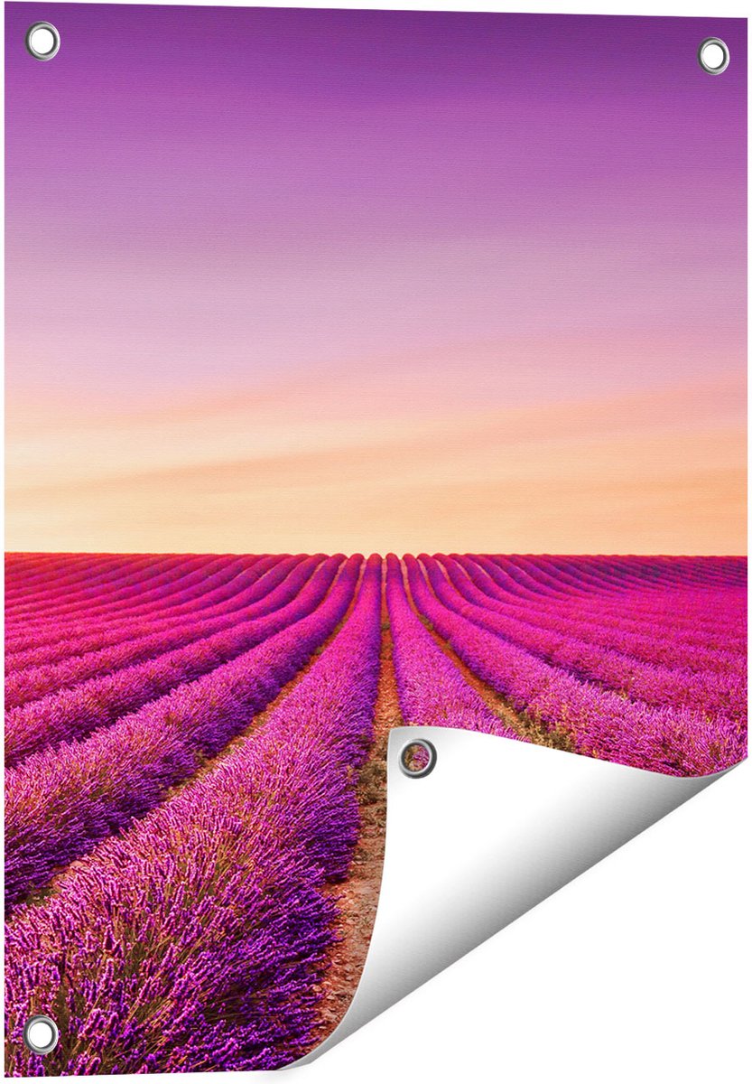 Gards Tuinposter Paarse Lavendel Bloemenveld - 40x50 cm - Tuindoek - Tuindecoratie - Wanddecoratie buiten - Tuinschilderij Multikleur