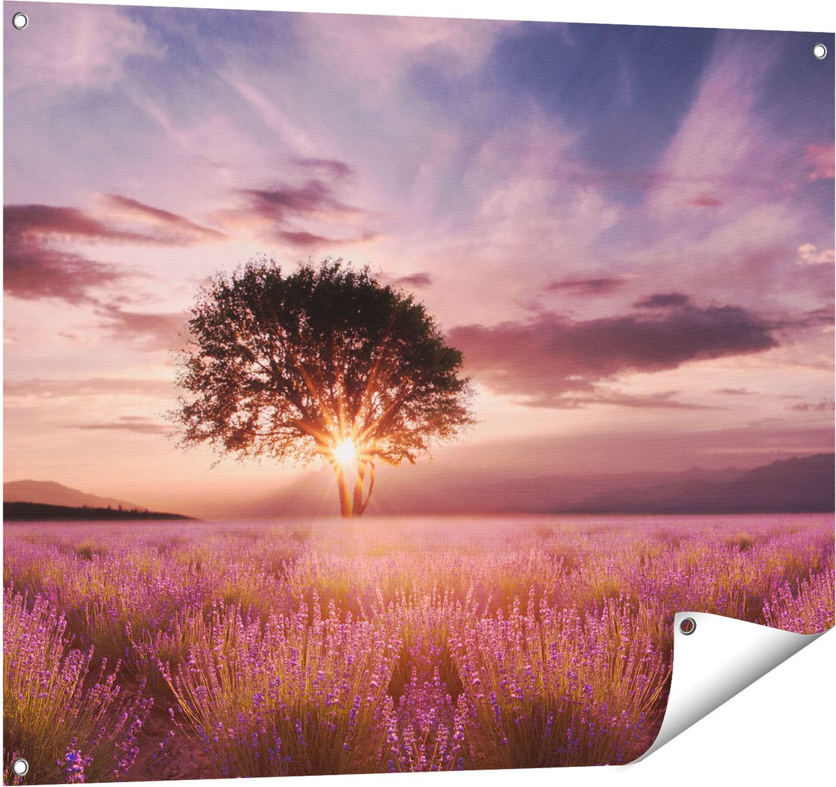 Gards Tuinposter Bloemenveld met Lavendel bij Zonsondergang - 100x80 cm - Tuindoek - Tuindecoratie - Wanddecoratie buiten - Tuinschilderij Multikleur