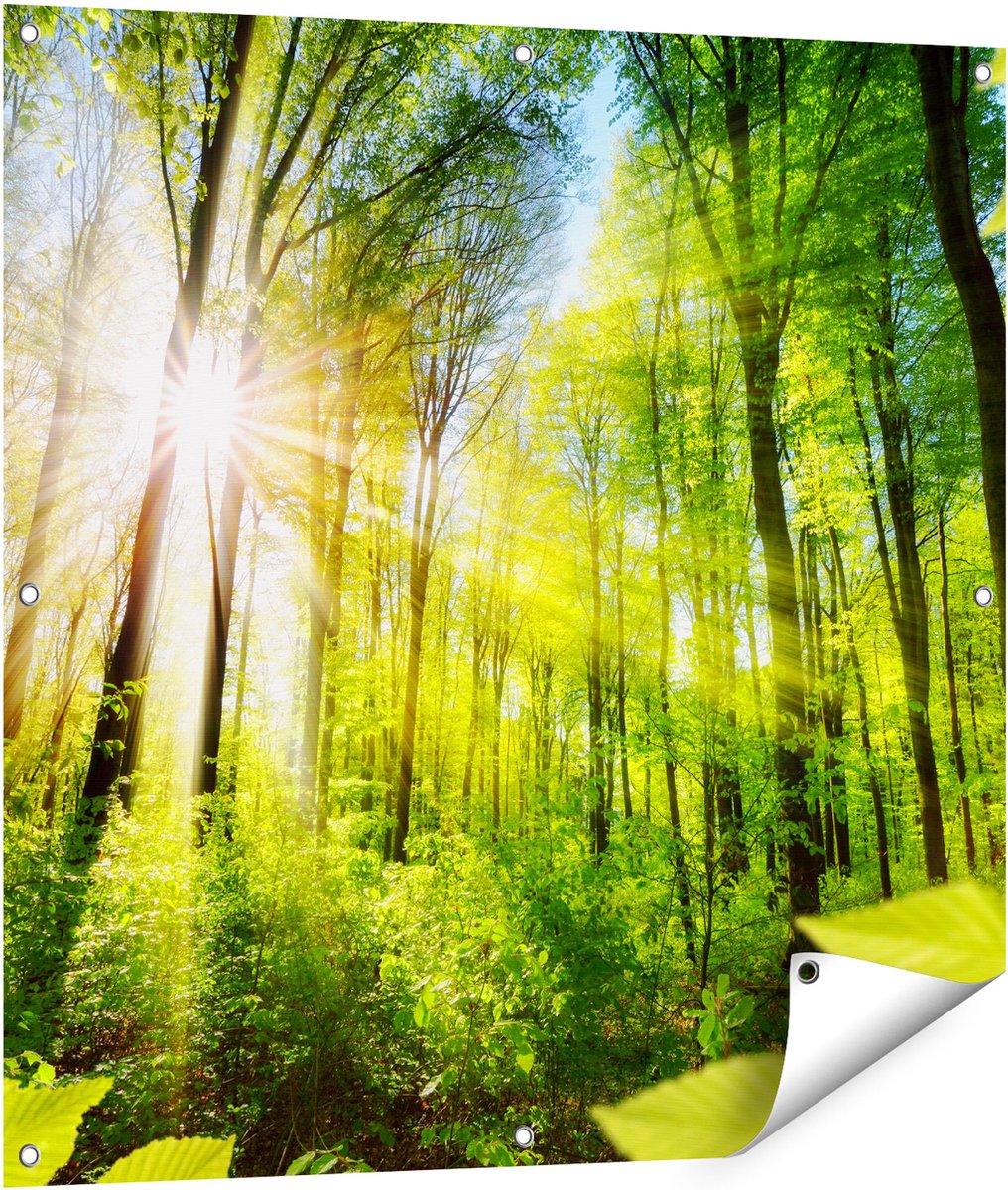Gards Tuinposter Weg Omringd met Bomen in het Bos - 90x90 cm - Tuindoek - Tuindecoratie - Wanddecoratie buiten - Tuinschilderij Multikleur