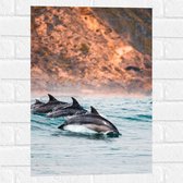 Muursticker - Drie Synchroon Zwemmende Dolfijnen in de Zee - 40x60 cm Foto op Muursticker
