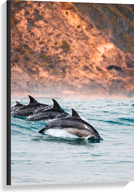 Canvas - Drie Synchroon Zwemmende Dolfijnen in de Zee - 60x90 cm Foto op Canvas Schilderij (Wanddecoratie op Canvas)