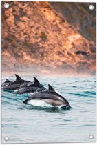 Tuinposter – Drie Synchroon Zwemmende Dolfijnen in de Zee - 40x60 cm Foto op Tuinposter (wanddecoratie voor buiten en binnen)
