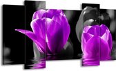 GroepArt - Schilderij - Tulpen - Paars, Zwart, Grijs - 120x65 5Luik - Foto Op Canvas - GroepArt 6000+ Schilderijen 0p Canvas Art Collectie - Wanddecoratie