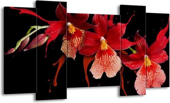 GroepArt - Schilderij - Orchidee - Roze, Rood, Zwart, - 120x65 5Luik - Foto Op Canvas - GroepArt 6000+ Schilderijen 0p Canvas Art Collectie - Wanddecoratie