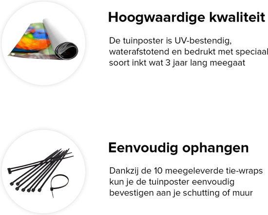 Gards Poster de jardin Quatre Vogels Lori arc-en-ciel sur une branche - 100x80 cm - Toile de jardin - Décoration de jardin - Décoration murale extérieure - Peinture de jardin