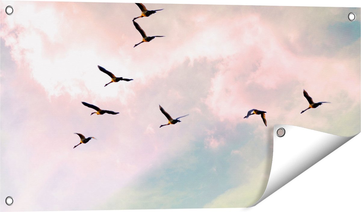 Gards Tuinposter Groep Vogels Vliegen Boven het Gras - 80x40 cm - Tuindoek - Tuindecoratie - Wanddecoratie buiten - Tuinschilderij Multikleur