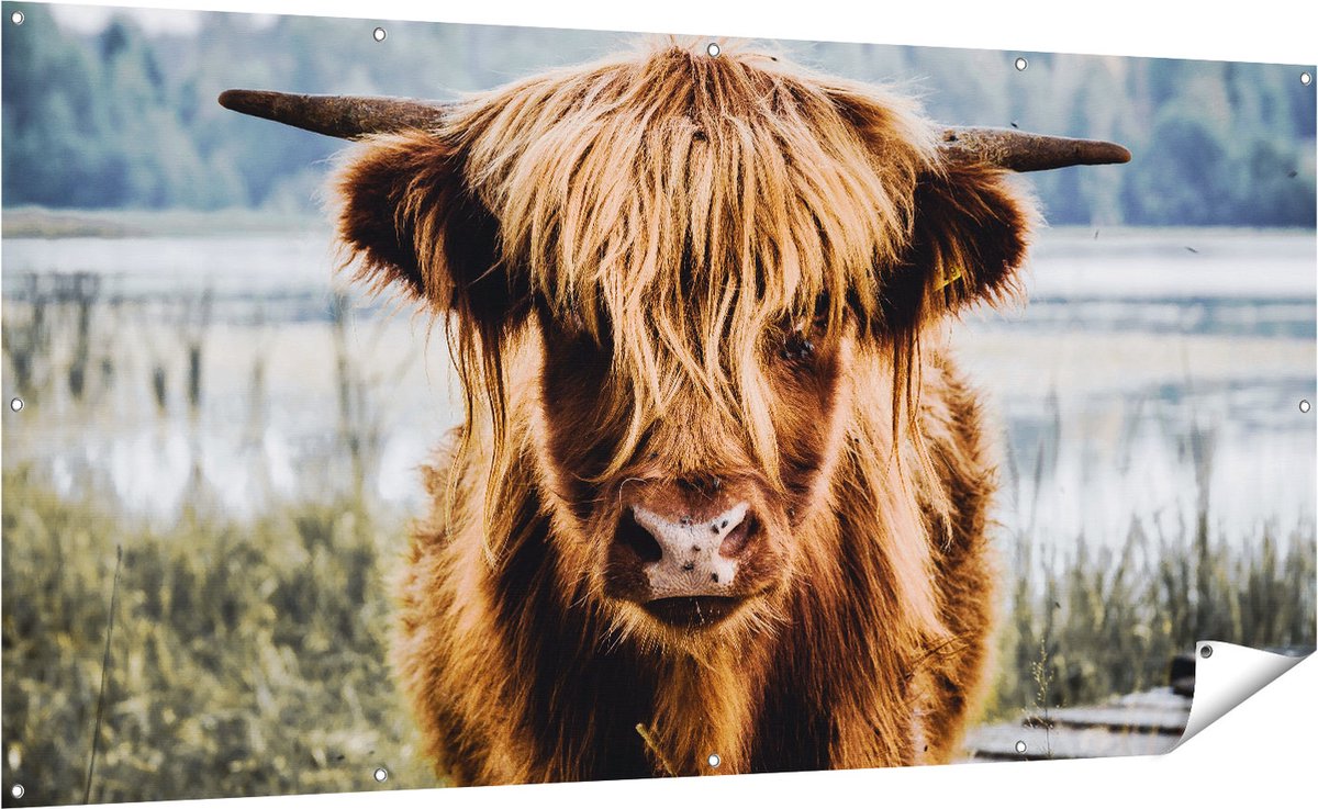 Gards Tuinposter Schotse Hooglander Koeienkop bij een Meer - 200x100 cm - Tuindoek - Tuindecoratie - Wanddecoratie buiten - Tuinschilderij Multikleur