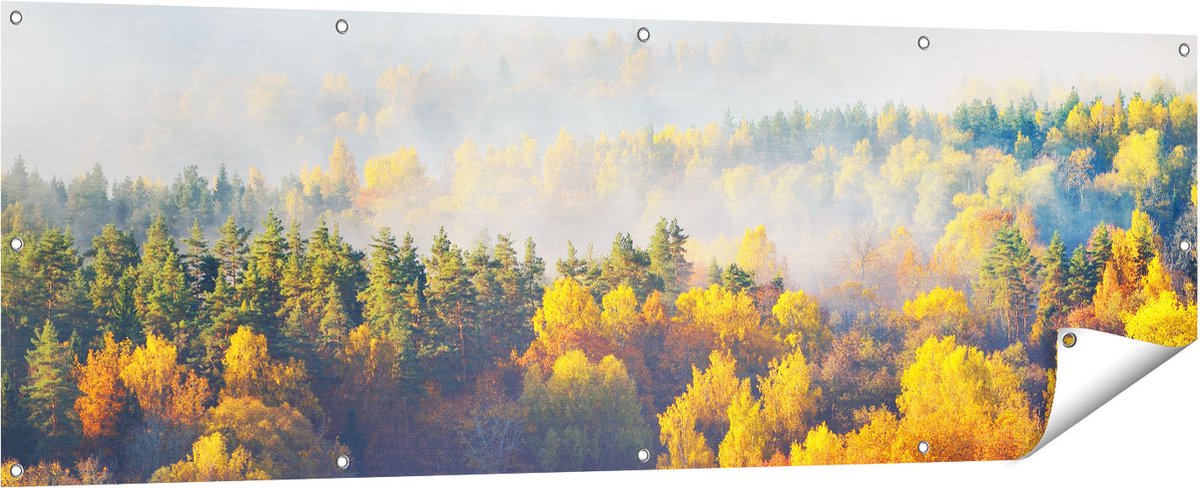 Gards Tuinposter Gekleurde Herfstbos met Mist - 180x60 cm - Tuindoek - Tuindecoratie - Wanddecoratie buiten - Tuinschilderij Multikleur