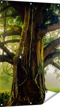 Gards Tuinposter Grote Levensboom met Veel Takken - 80x120 cm - Tuindoek - Tuindecoratie - Wanddecoratie buiten - Tuinschilderij