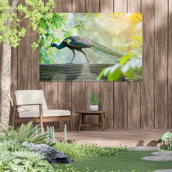 Affiche de jardin du Gards Paon marchant sur une branche dans la nature - 150x100 cm - Toile de jardin - Décoration de jardin - Décoration murale extérieur - Tableau de jardin