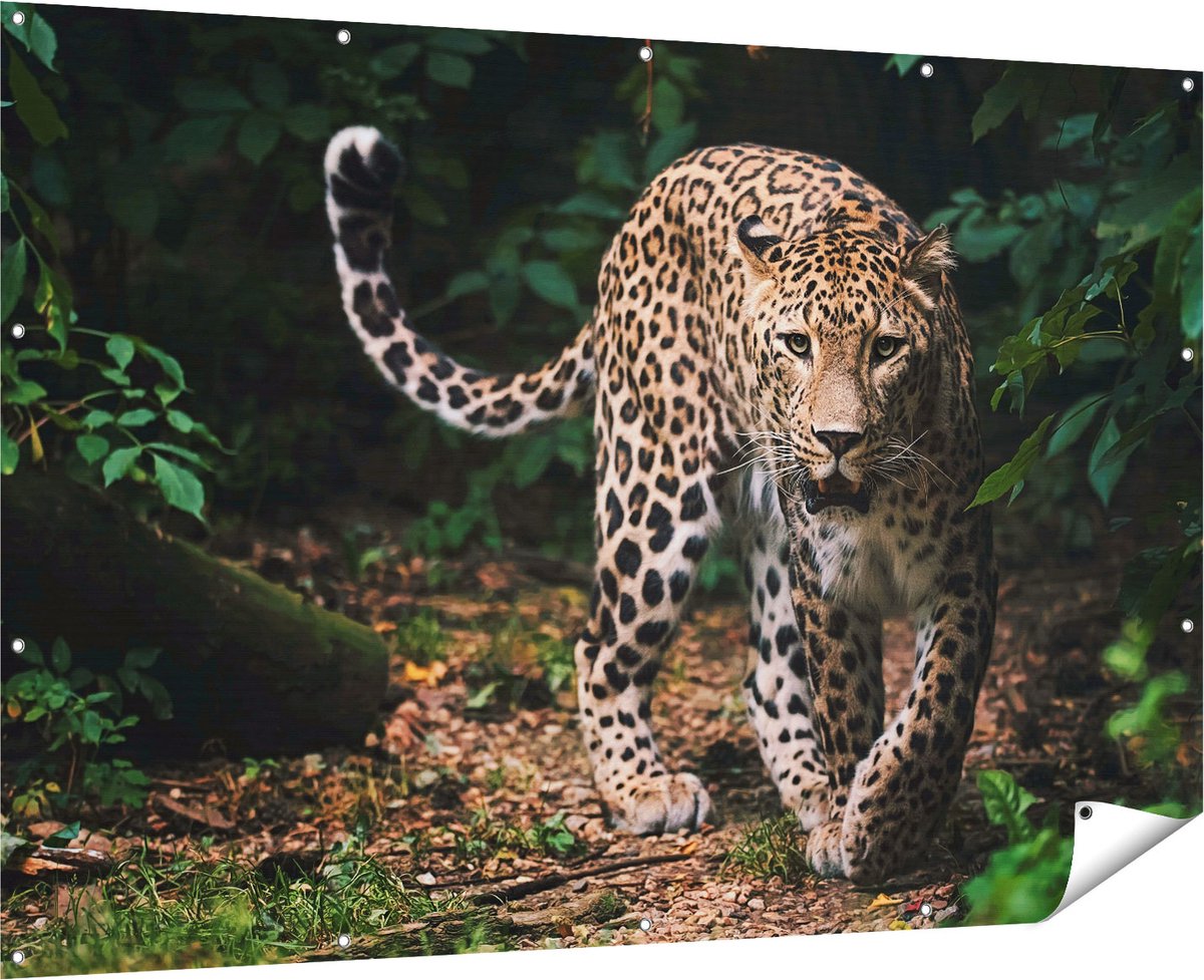 Gards Tuinposter Luipaard in het Bos - 180x120 cm - Tuindoek - Tuindecoratie - Wanddecoratie buiten - Tuinschilderij Multikleur