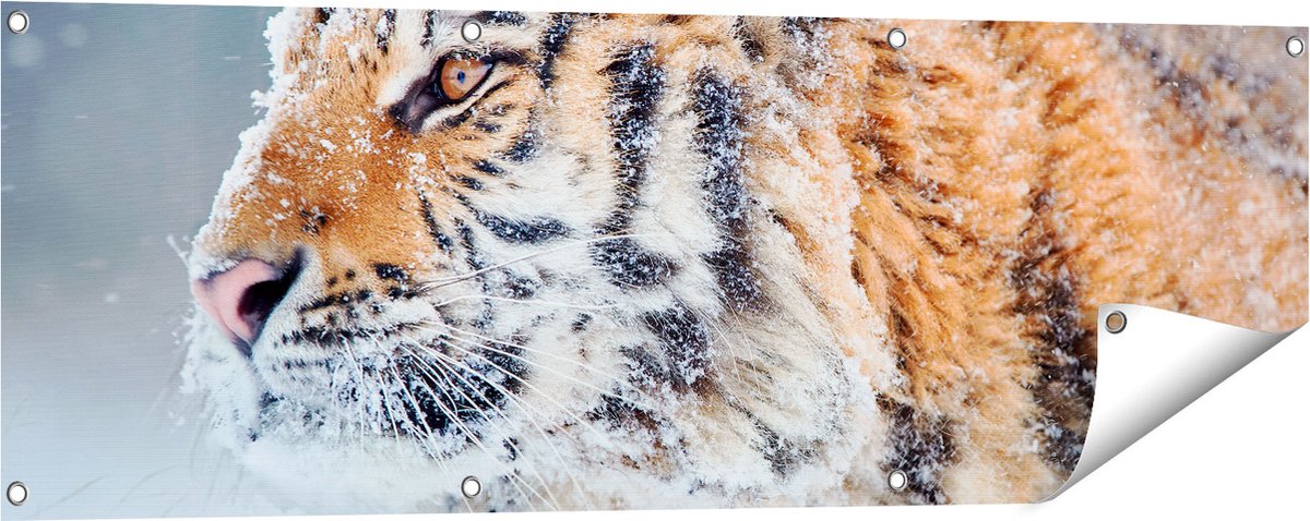 Gards Tuinposter Tijger tijdens de Sneeuw - 120x40 cm - Tuindoek - Tuindecoratie - Wanddecoratie buiten - Tuinschilderij Multikleur