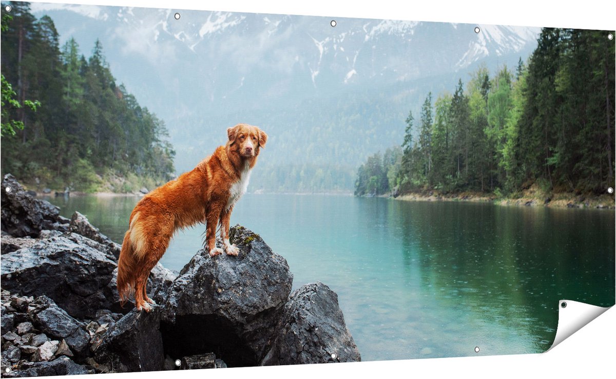 Gards Tuinposter Retriever Hond bij het Water in de Bergen - 200x100 cm - Tuindoek - Tuindecoratie - Wanddecoratie buiten - Tuinschilderij Multikleur