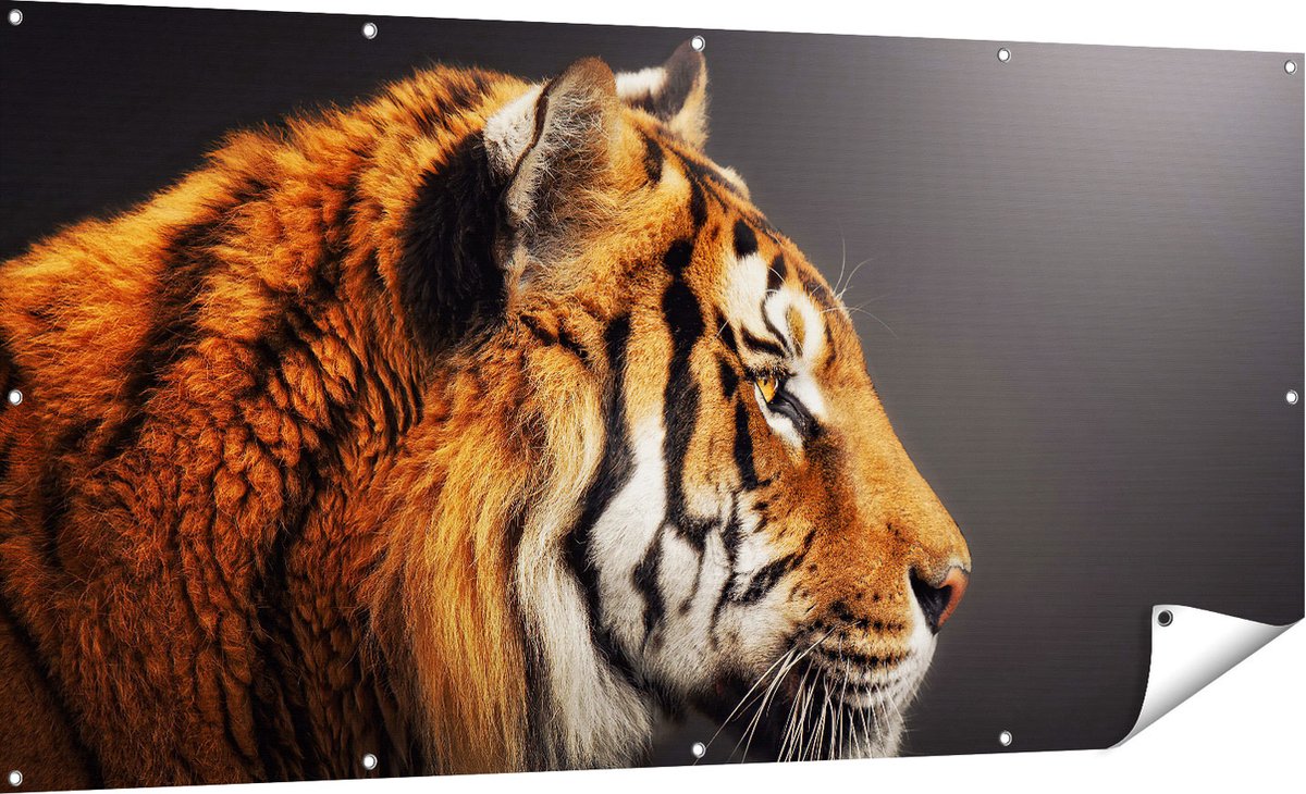 Gards Tuinposter Zijaanzicht van een Tijger - Tijgerkop - 180x90 cm - Tuindoek - Tuindecoratie - Wanddecoratie buiten - Tuinschilderij Multikleur