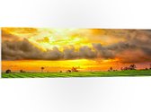 PVC Schuimplaat- Feloranje Lucht Vol Wolken boven Rijstvelden van Indonesië - 120x40 cm Foto op PVC Schuimplaat