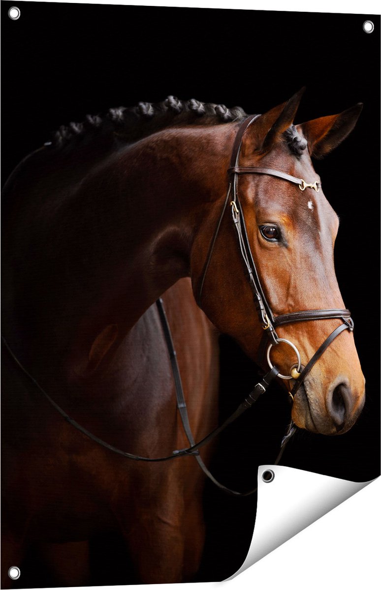 Gards Tuinposter Bruin Paard op een Zwart Achtergrond - 60x80 cm - Tuindoek - Tuindecoratie - Wanddecoratie buiten - Tuinschilderij Multikleur