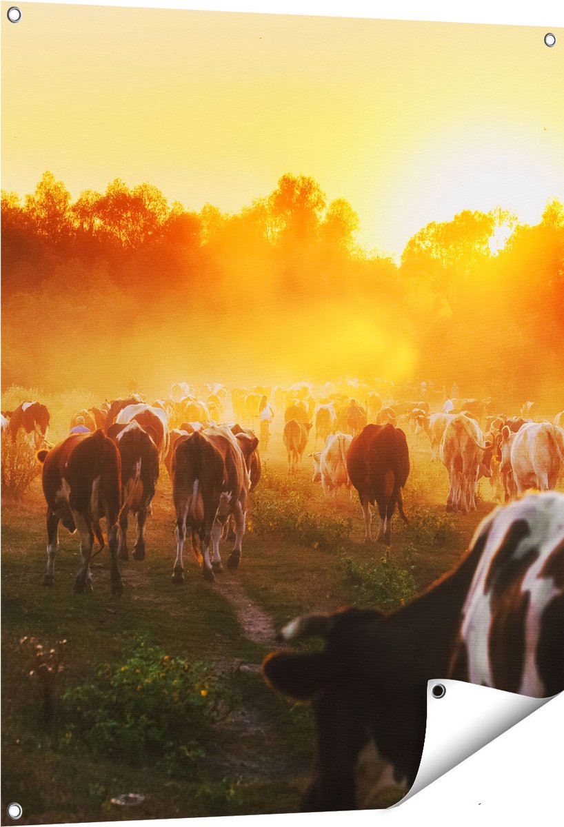 Gards Tuinposter Kudde Koeien in Weiland bij Zonsondergang - 80x100 cm - Tuindoek - Tuindecoratie - Wanddecoratie buiten - Tuinschilderij Multikleur
