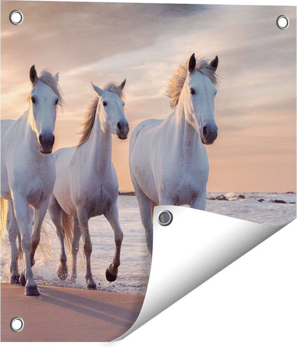 Gards Tuinposter Witte Paarden op het Strand bij Water - 40x40 cm - Tuindoek - Tuindecoratie - Wanddecoratie buiten - Tuinschilderij Multikleur