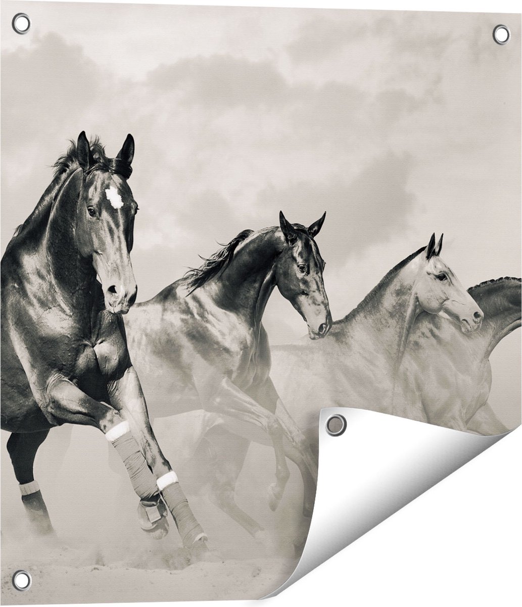 Gards Tuinposter Vier Paarden naast Elkaar - Zwart Wit - 50x50 cm - Tuindoek - Tuindecoratie - Wanddecoratie buiten - Tuinschilderij Multikleur