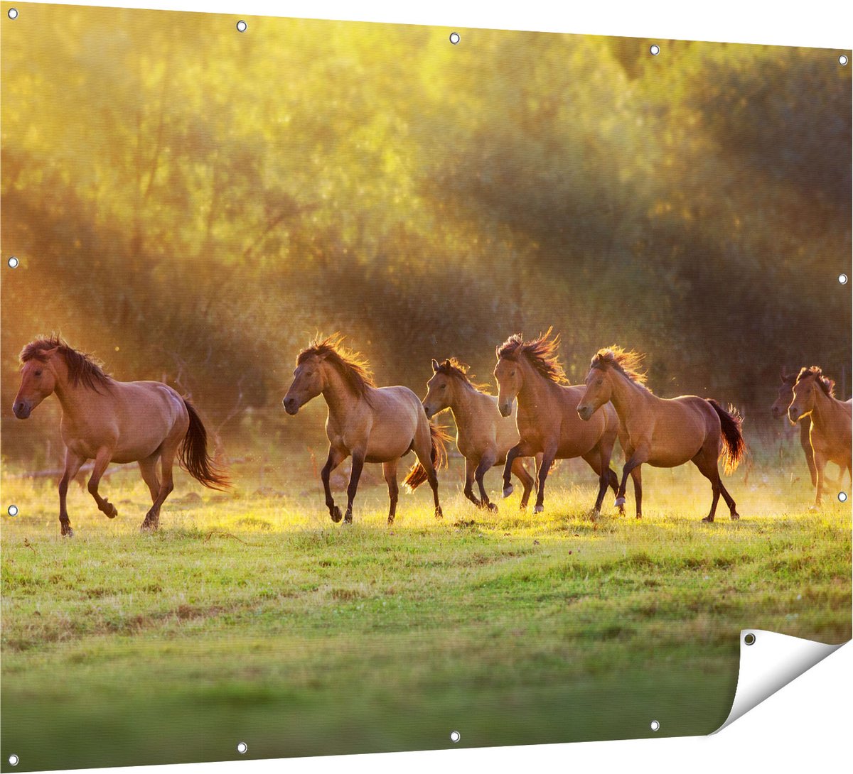 Gards Tuinposter Kudde Bruine Paarden in de Wei - 160x120 cm - Tuindoek - Tuindecoratie - Wanddecoratie buiten - Tuinschilderij Multikleur