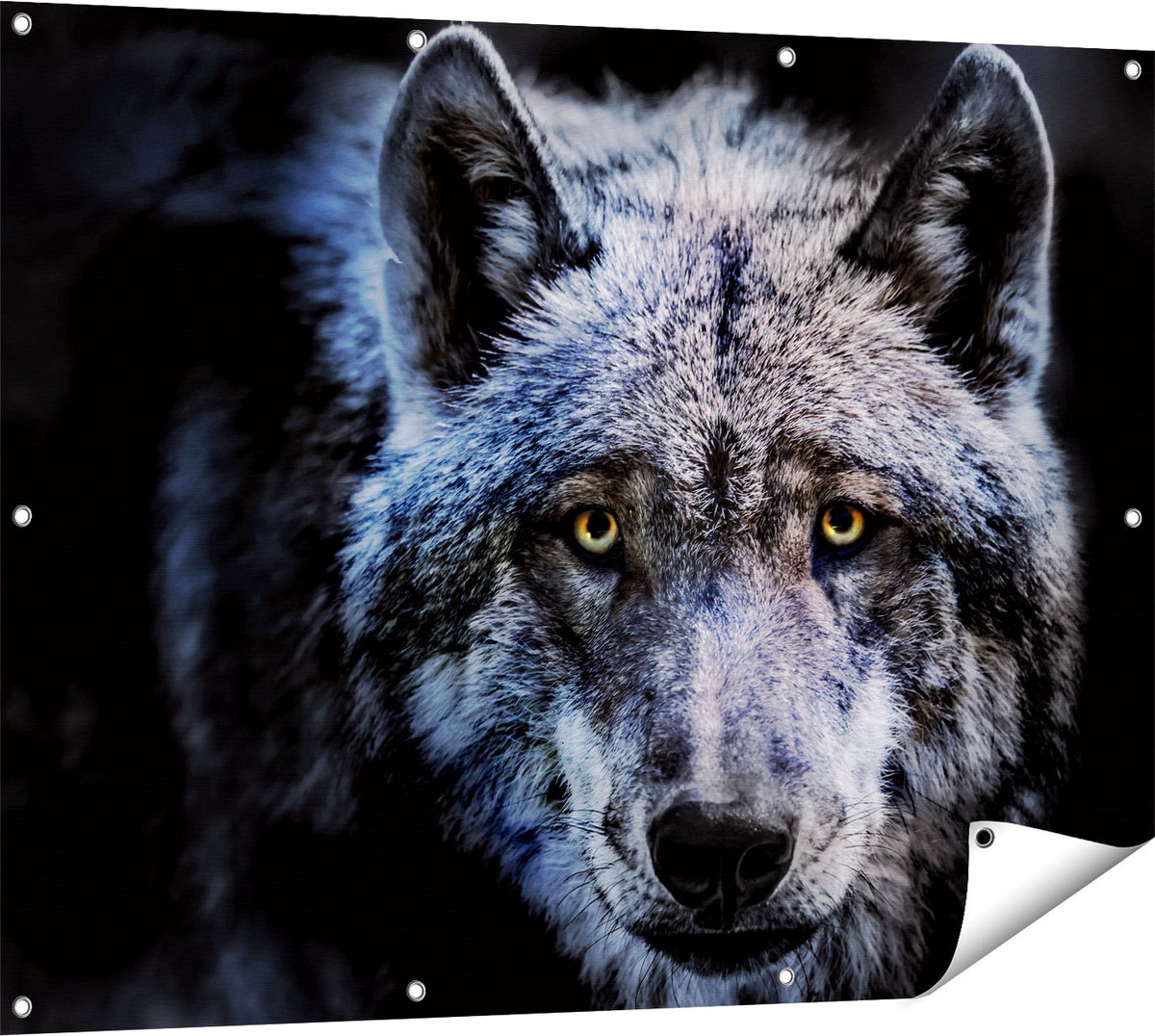 Gards Tuinposter Grijze Wolvenkop - Wolf - 120x90 cm - Tuindoek - Tuindecoratie - Wanddecoratie buiten - Tuinschilderij Multikleur