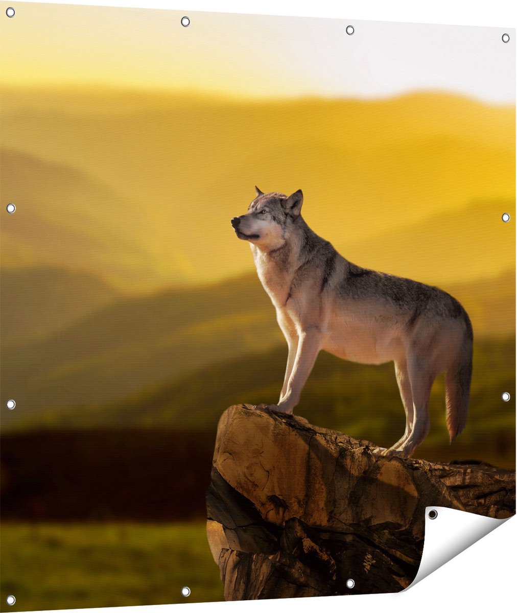Gards Tuinposter Wolf op een Rots met een Heuvel Landschap - 110x110 cm - Tuindoek - Tuindecoratie - Wanddecoratie buiten - Tuinschilderij Multikleur