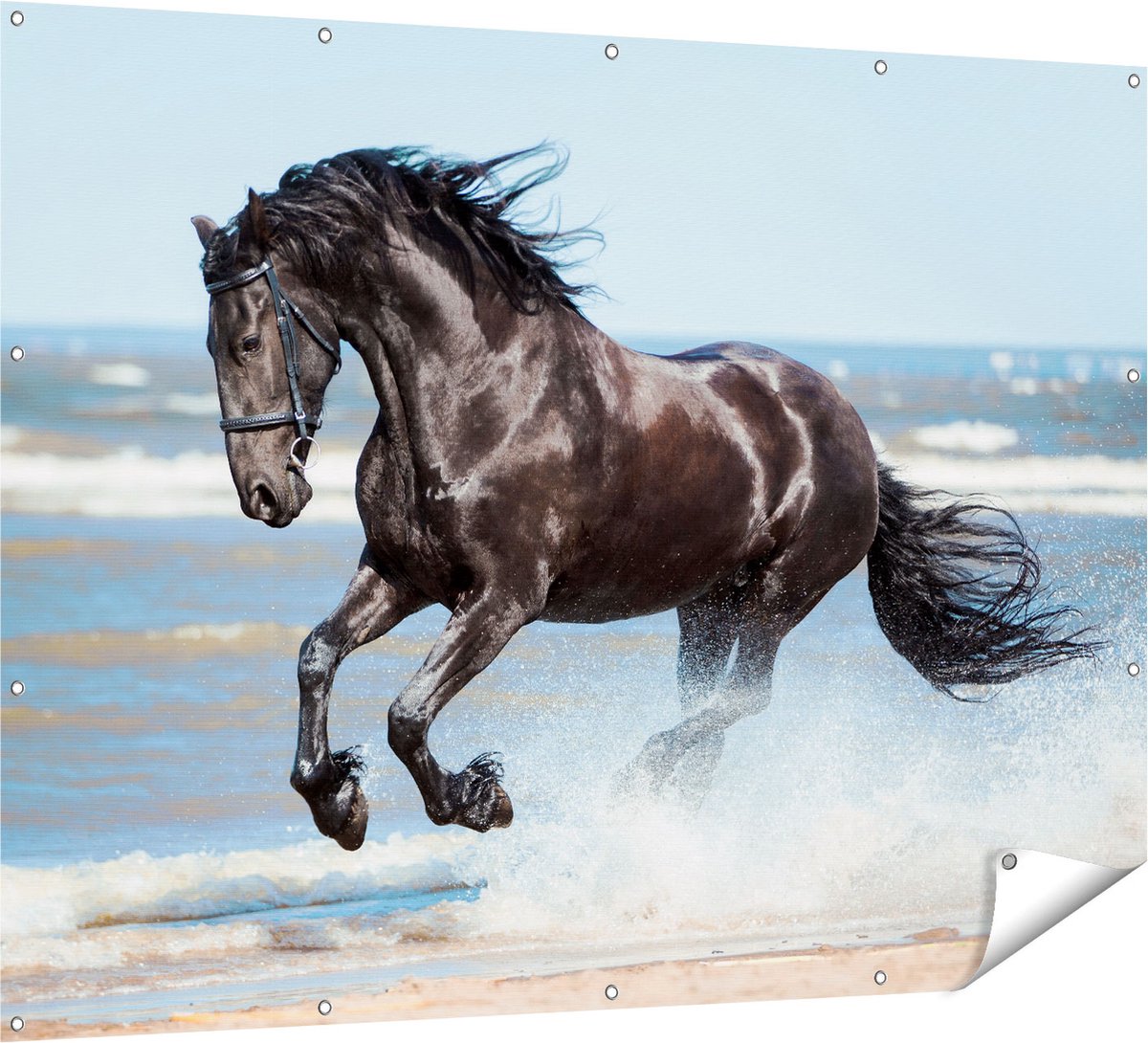 Gards Tuinposter Zwart Paard in het Water - 160x120 cm - Tuindoek - Tuindecoratie - Wanddecoratie buiten - Tuinschilderij Multikleur