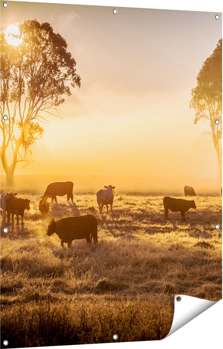 Gards Tuinposter Kudde Koeien in de Wei met Zonsopkomst - 90x120 cm - Tuindoek - Tuindecoratie - Wanddecoratie buiten - Tuinschilderij Multikleur