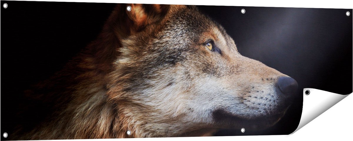 Gards Tuinposter Wolvenkop met een Zonnestraal - Wolf - 150x50 cm - Tuindoek - Tuindecoratie - Wanddecoratie buiten - Tuinschilderij Multikleur