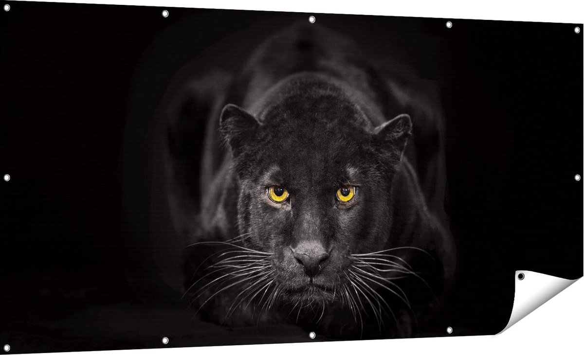 Gards Tuinposter Zwarte Panter met Oranje Ogen - 180x90 cm - Tuindoek - Tuindecoratie - Wanddecoratie buiten - Tuinschilderij Multikleur