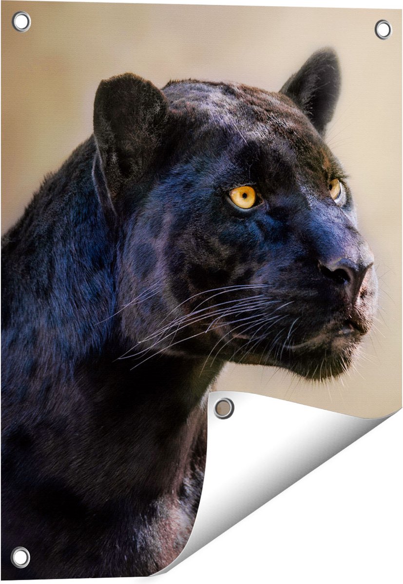 Gards Tuinposter Zwarte Panter met Oranje Ogen - 40x50 cm - Tuindoek - Tuindecoratie - Wanddecoratie buiten - Tuinschilderij Multikleur