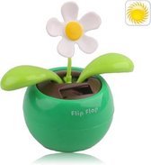 Solar Flip Flap Flower, willekeurige bloemkleurlevering (groene bloembak)