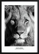 Proud Lion Poster (29,7x42cm) - Wallified - Natuur - Landschap - Zee - Poster - Print - Wall-Art - Woondecoratie - Kunst - Posters