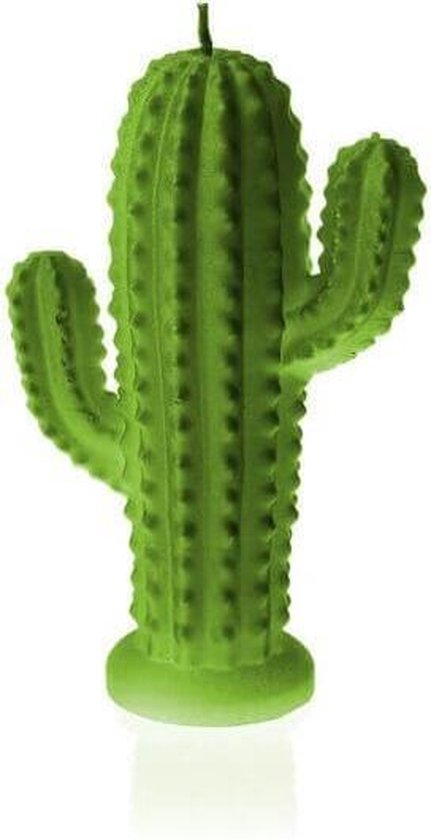 Lime groen gelakte Candellana figuurkaars, Cactus Hoogte 14 cm (24 uur)