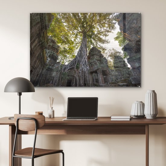Arbres du temple Ta Prohm à Angkor Wat Plexiglass 90x60 cm - Tirage photo sur Glas (décoration murale plexiglas)